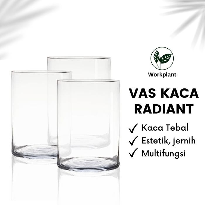 Vas Kaca Radiant - Vas Bunga Kaca Bening Silinder Vas Bunga Tabung