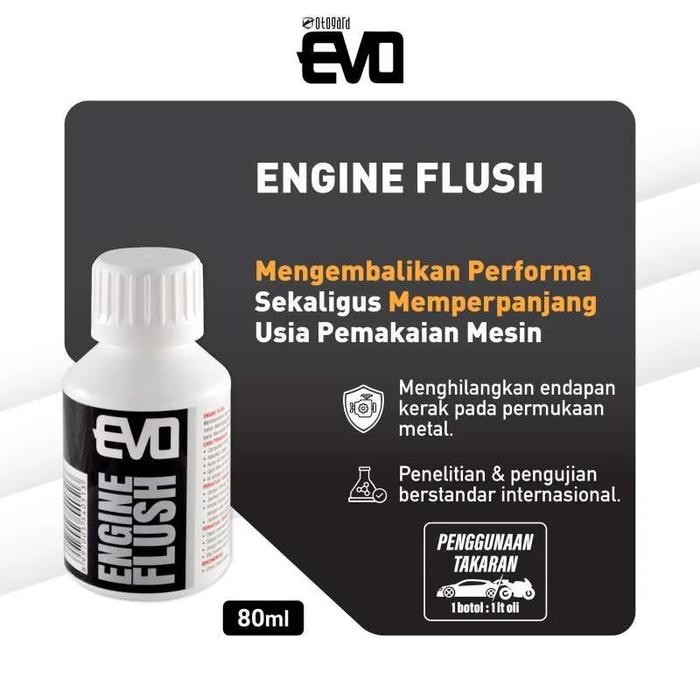 temg- Otogard Evo Motor Engine Flush