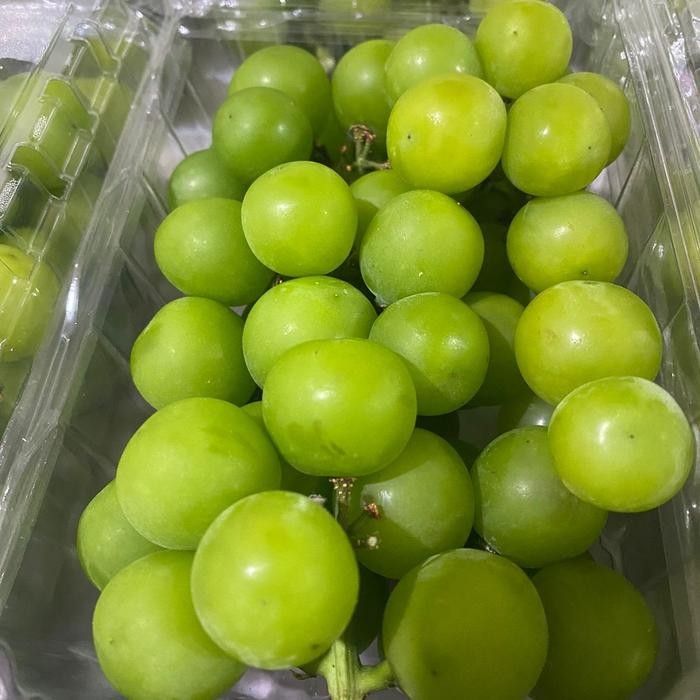 Fruitsz- Anggur Shine MuscatAnggur SeedlessAnggur IjoBuah Segar BandungNuri