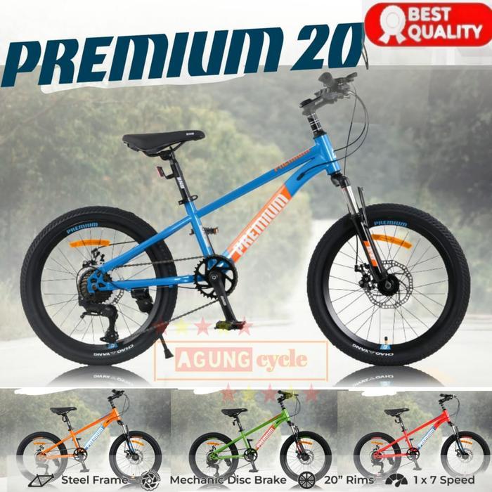SEPEDA GUNUNG MTB BNB 20 INCH PREMIUM 7 SPEED