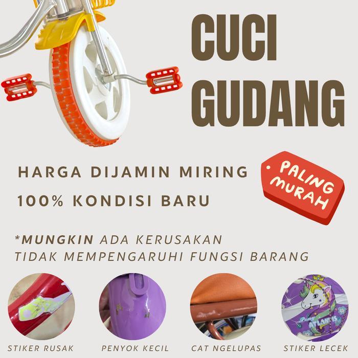 Sepeda Anak Perempuan 4 Roda Centrum X Angry Bird 2505 18 Inch Murah - CUCI GUDANG