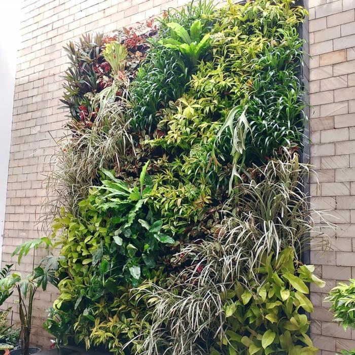 Jasa Vertical Garden Vertikal Garden Taman Vertikal Garden