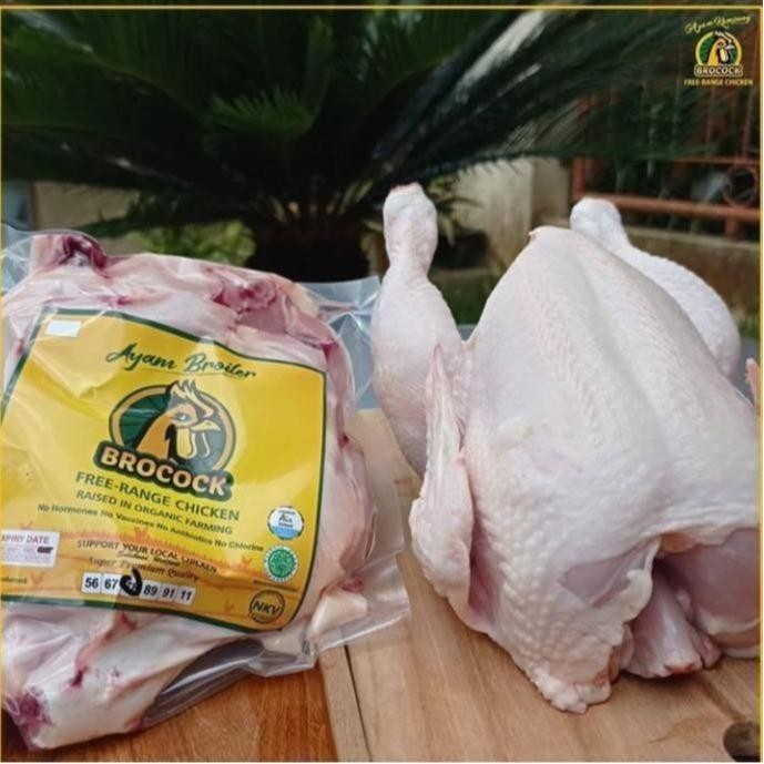 

Pilihan- Ayam Broiler Brocock Utuh