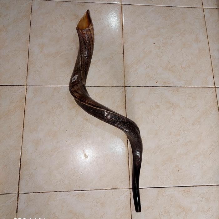 Terlaris Shofar Sangkakala Premium