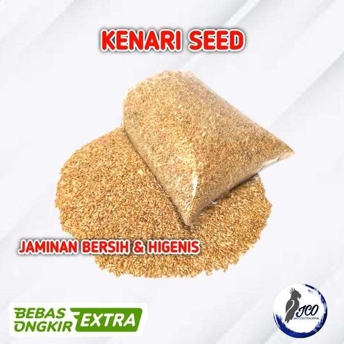 CANARY SEED