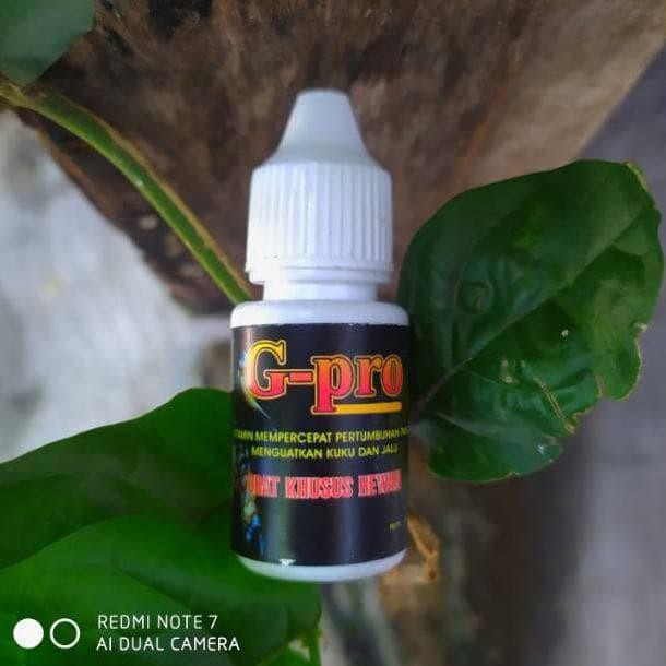 BARU G - PRO OBAT MEMACU PERTUMBUHAN PARUH KUKU DAN JALU MENGOBATI