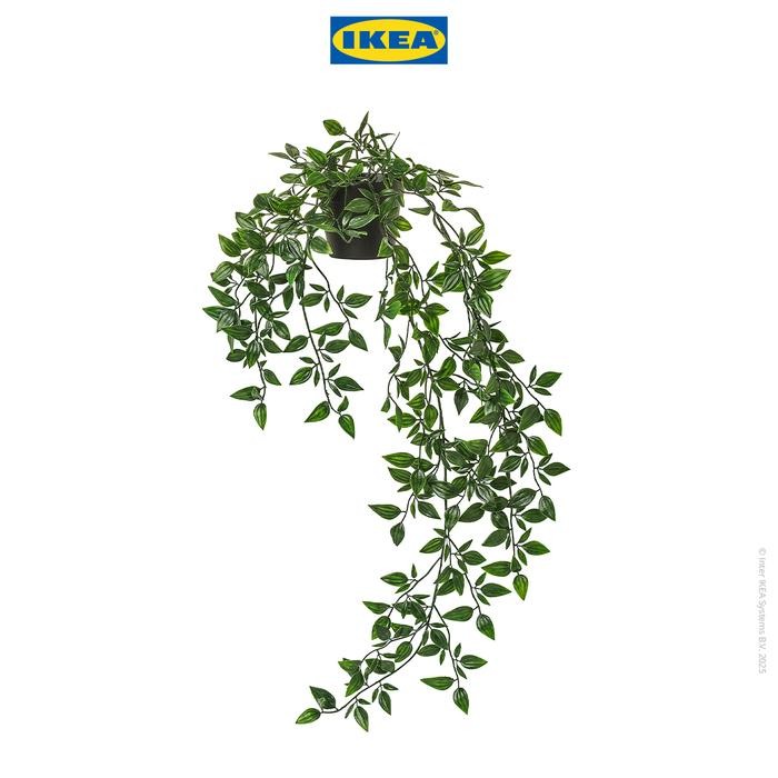 60qm- Ikea Fejka Tanaman Hias Gantung Dengan Pot 9 Cm