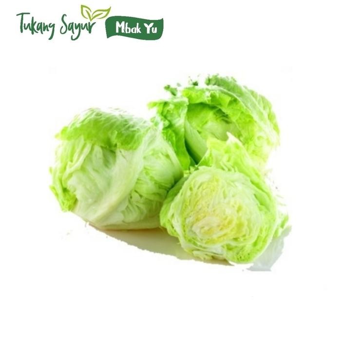 

Pilihan- Kol Lotus Segar Organik 500Gr