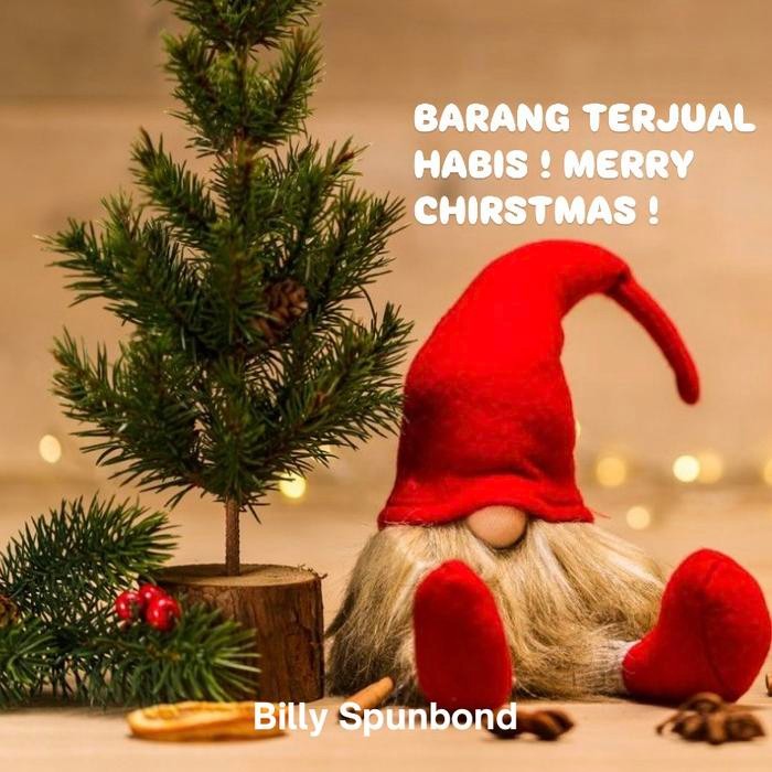 Pilihan- Tas Natal, Tas Spunbond Natal, Tas Natal Laminasi, Tas Laminasi Natal, Bingkisan