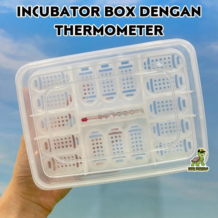 Pilihan- Box Incubator Telur Reptil Iguanna Leopard Gecko Chameleon Salva Tegu