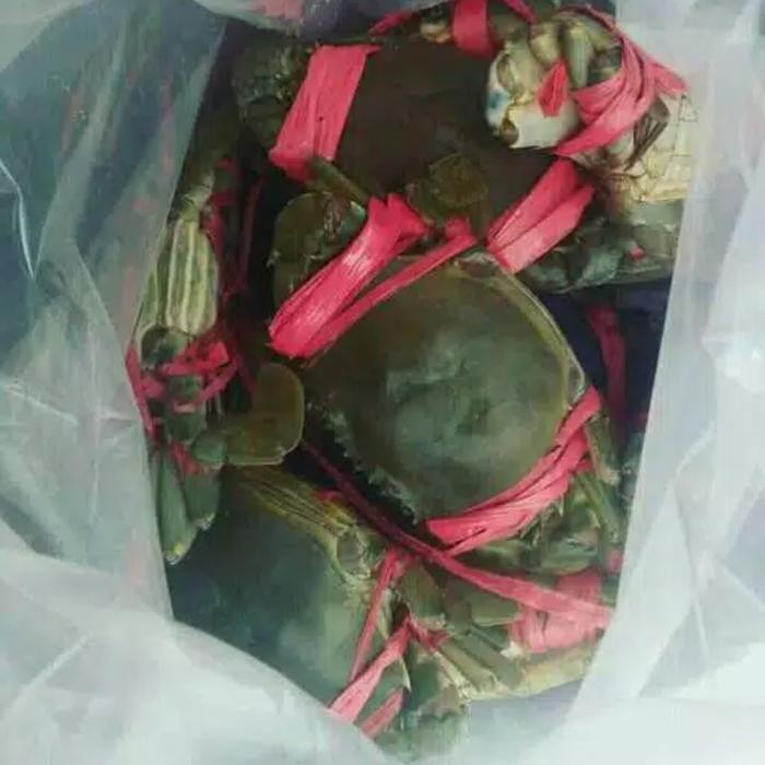 Eat77- Kepiting Hidup Segar