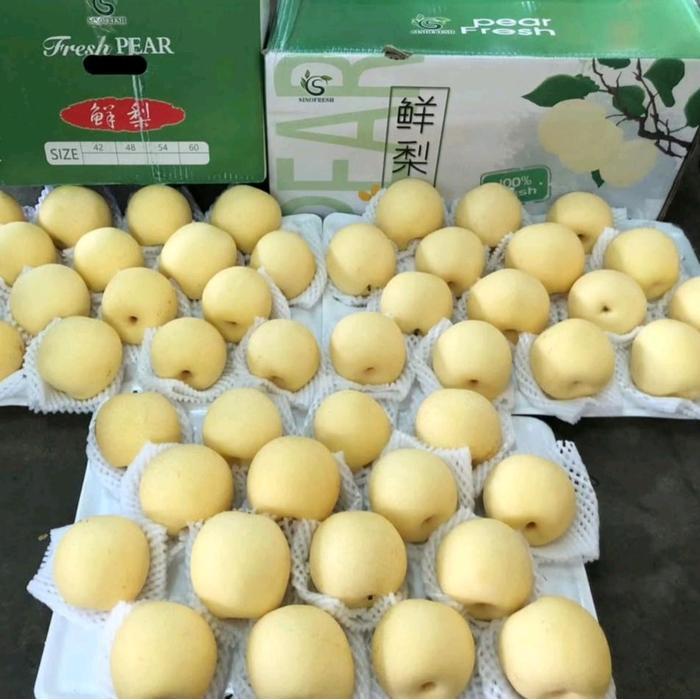 Buah Pir Madu Fresh 1kg-buah pir Century