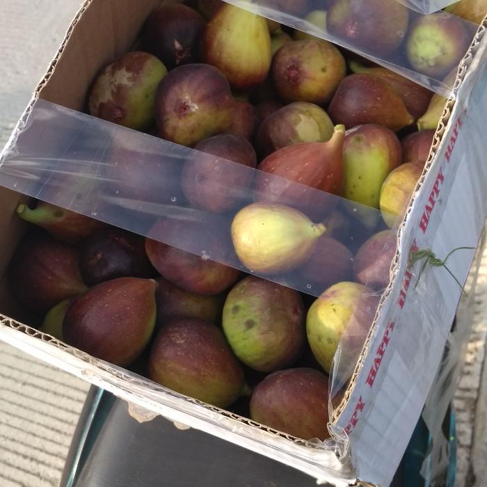 Buah tin yordania fresh 1kg