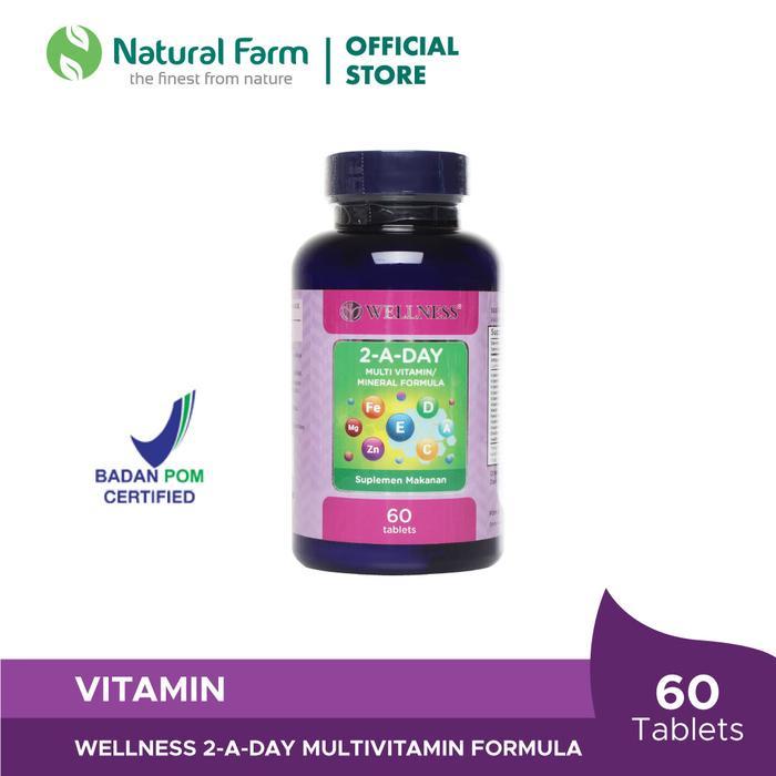 Wellness Multivitamin/Mineral 2-A-Day ( 60 )