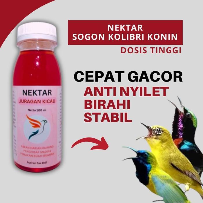 NEKTAR SOGON KONIN KOLIBRI KELAPA JURAGAN KICAU DOSIS TINGGI BIAR CEPAT GACOR NEXTAR SIRUP PAKAN