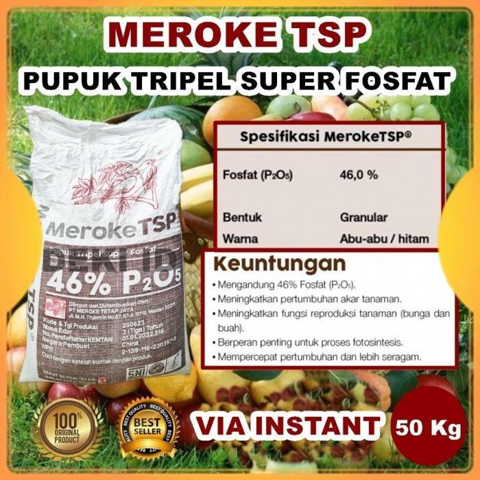 TSP Meroke 46% 50 Kg via Instant Pupuk Pospat Penguat Akar Tanaman
