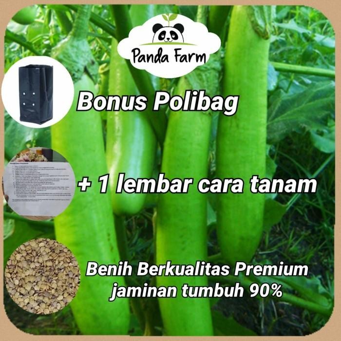 Benih Biji Bibit Lokal Unggu Terong Hijau