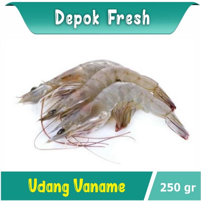 

Pilihan- Udang Vaname 250 Gram Varian Kecil/ Sedang/ Besar Segar Seafood Depok Fresh