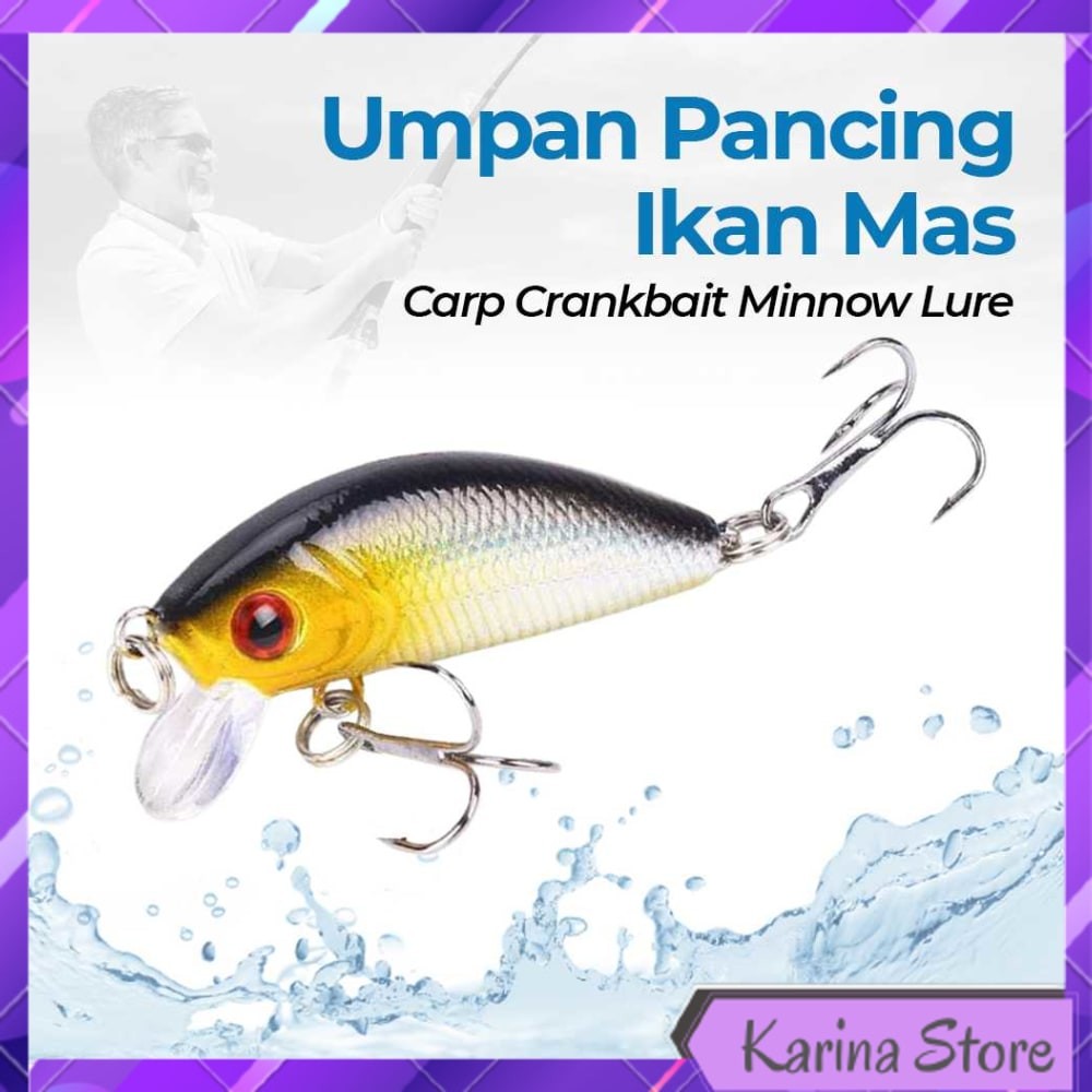 UMPAN PANCING IKAN MAS CARP CRANKBAIT MINNOW LURE 50MM - LD07