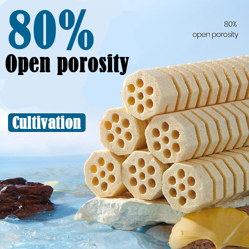 2Pcs/Lot Aquarium Fish Tank Filter Media Hollow Lotus Root Shaped Probiotic House Nano Biochemical W