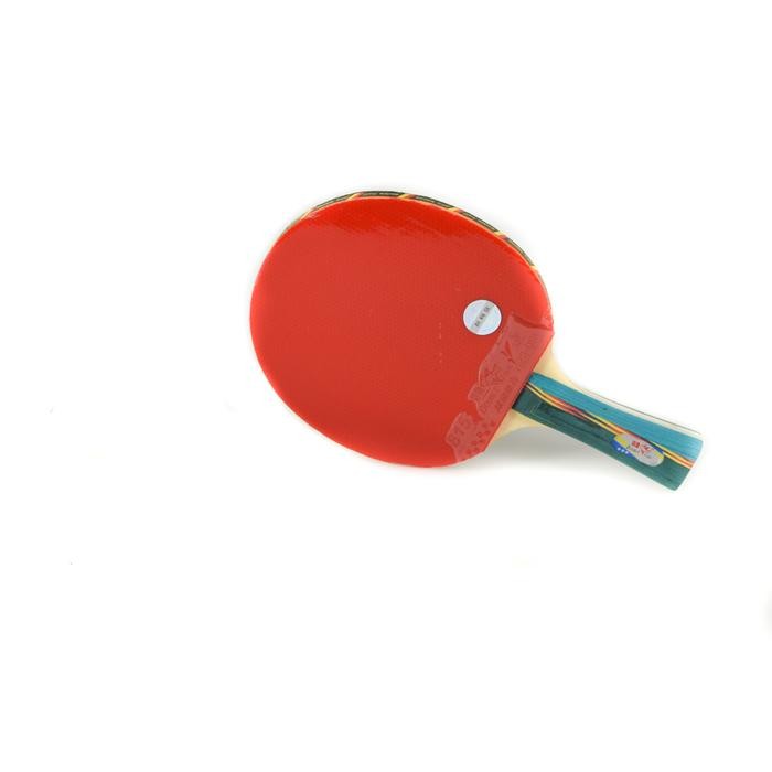 Azko Double Fish Set Bat Tenis Meja 1A-C Bat Ping Pong Perlengkapan Tenis Meja Alat Olahraga Bet