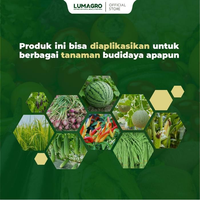 

Promo Pupuk Mordenfol 250Ml Pospat Cair Nutrisi Akar Dan Pembungaan Tanaman Sale