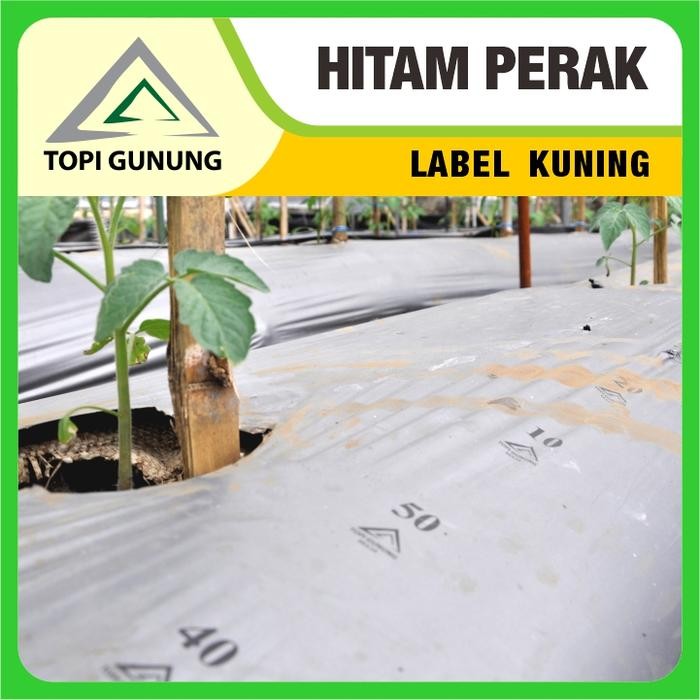 Bestbuy04 Mulsa Topi Gunung Ktg Label Kuning Besar 17 Kg