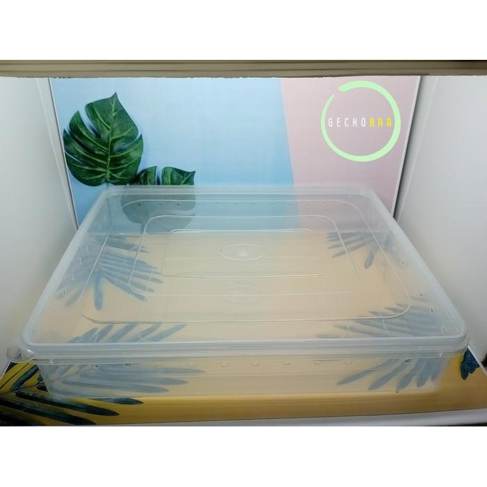 Pilihan- Kandang Reptil Gecko Aft Kotak Reptil Ukuran Besar Dan Lebar