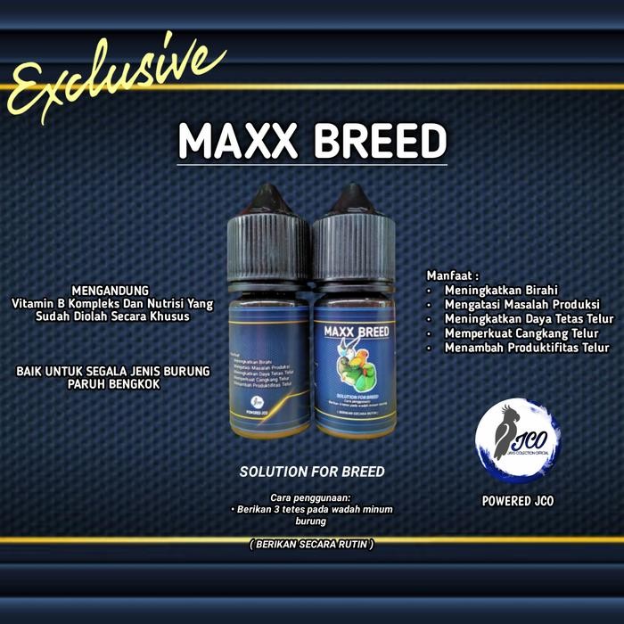 Phoenix Petindo - Ternak Burung Lovebird Falk Maxx Breeding Parrot