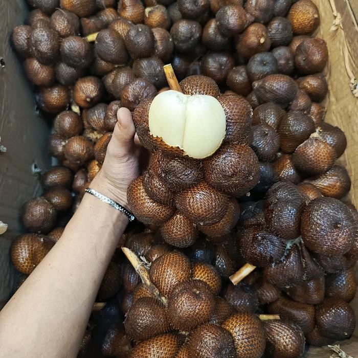 SegArRr- Salak Salak Gula Pasir Salak Madu Bali