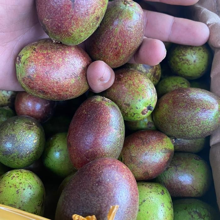 Fruitsz- Buah Matoa Segar MurahBuah Matoa AsliNuri Fruits