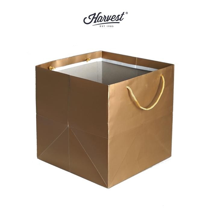 PAPER BAG CAKE / KUE HARVEST SQUARE POLOS