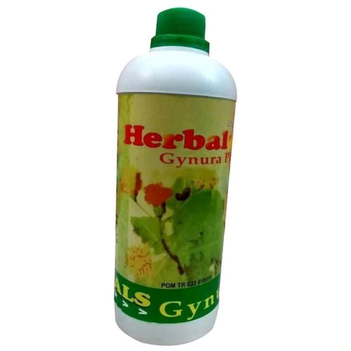 Promo Herbal Gynura Plus(Daun Dewa)