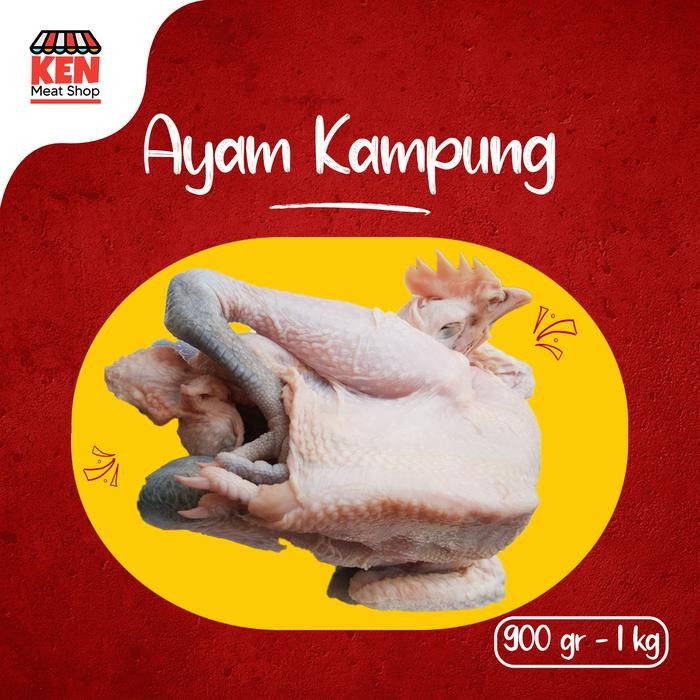 

Pilihan- Fresh Ayam Kampung 1Ekor
