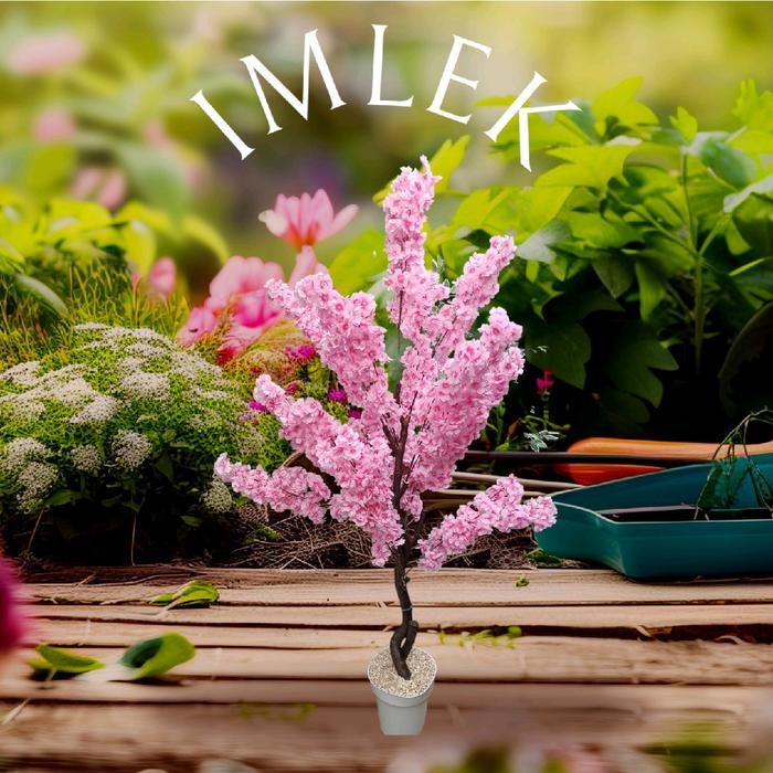 Sakura / Imlek / Cherry blossom / Bunga Sudut / Bunga Artificial / Sakura Imlek / Bunga Hias