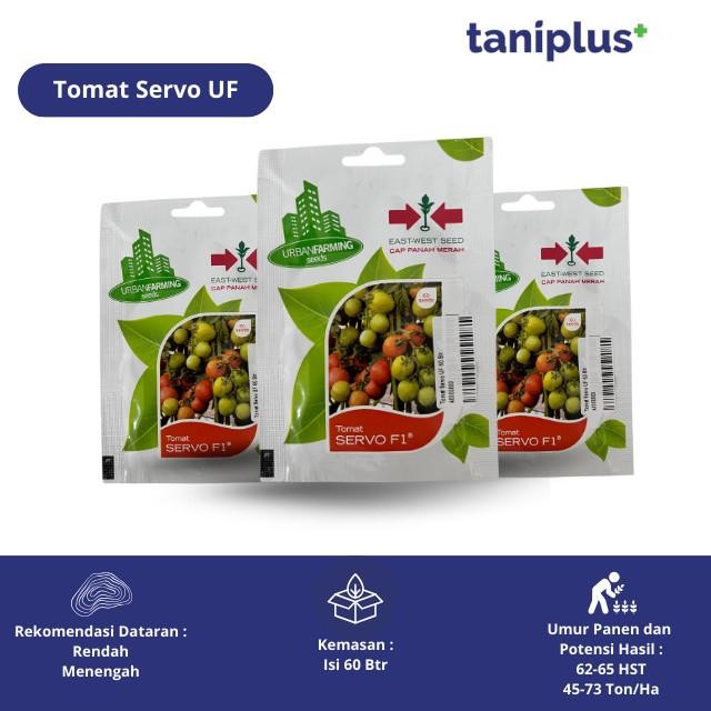 Stok Baru Tomat Servo UF 60 Butir - Benih Hortikultura