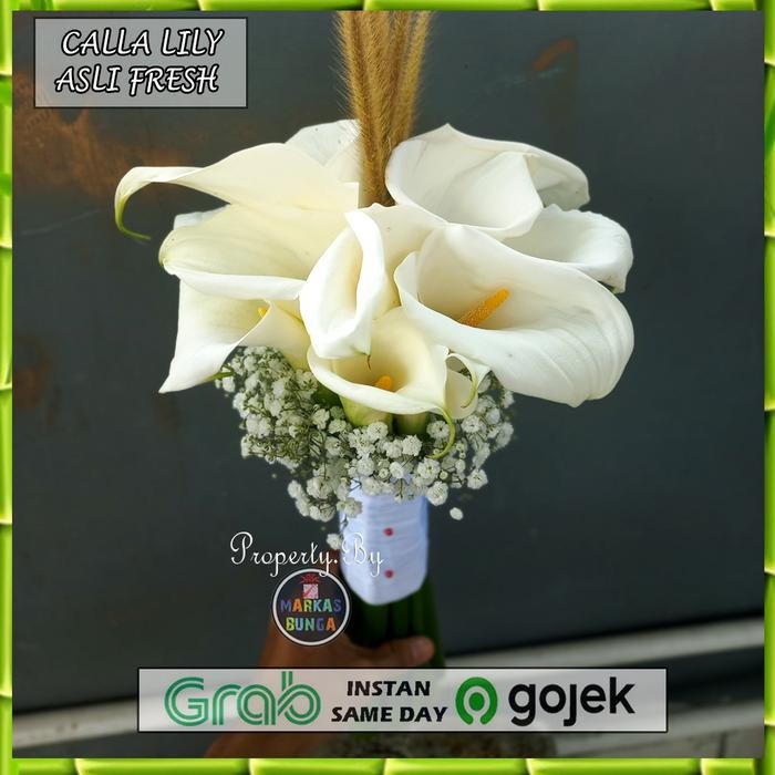 Buket Calla Lily asli 10 tangkai / handbouquet calla lily 10 tangkai Terlaris