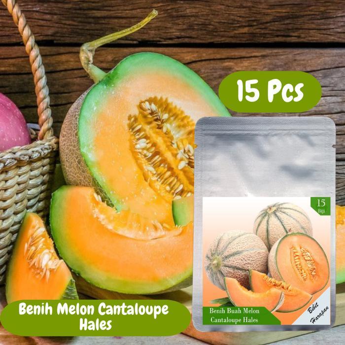 BIBIT F1 BIBIT BENIH BUAH MELON CANTALOUPE HALES BEST JUMBO HIDRPONIK