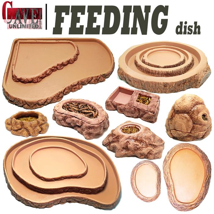 Wd020B Feeding Dish Corner Tempat Makan Kura Sulcata Tortoise Iguana