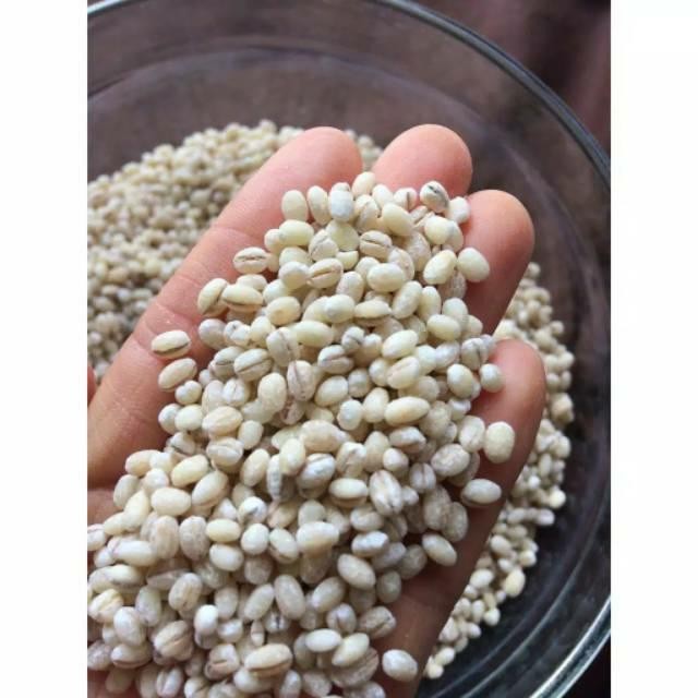 

KACANG BARLEY IMI BIJI JALI JALI NATURAL PEARL BARLEY PEARLED MPASI