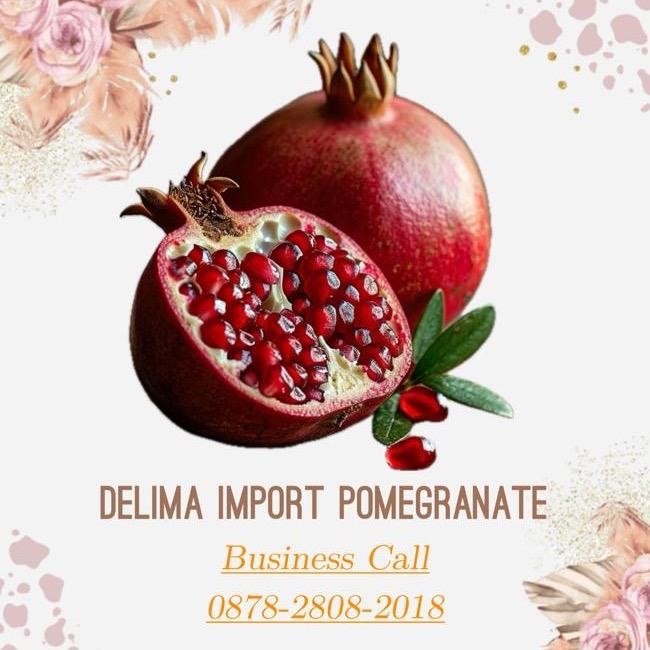 

Pilihan- Buah Delima Import Pomegranate India China Mesir