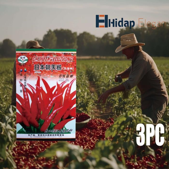 ASLI Benih Bibit Cabai Diimpor Dari Jepang,Benih Bibit Cabai,Cabai Rawit Red Cluster Pepper Seeds