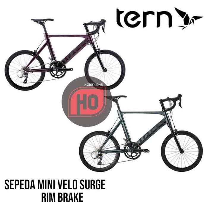 TERN SURGE Mini Velo Bike Rim Brake - Sepeda Mini