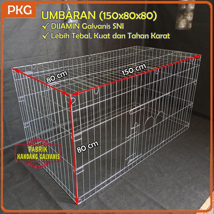 Kandang Ayam Umbaran Galvanis 150X80X80 Lipat Murah Anti Karat Kurungan Umbaran Besi Galpanis