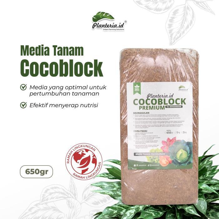 MEDIA TANAM COCOBLOCK - Media Tanam Praktis Kaya Unsur Hara