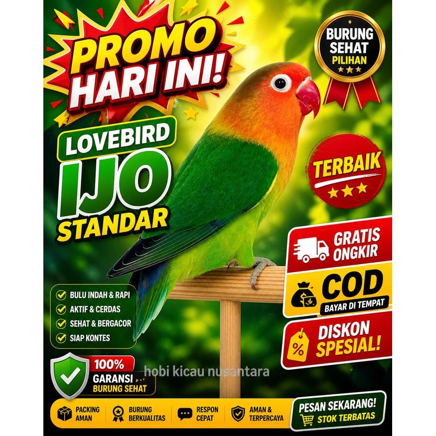 Jayus - Khusus Go-Jek Burung Lovebird Ijo Standar Love Bird Josan