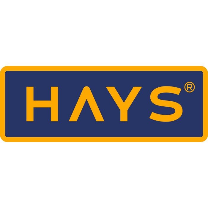 

Jinten Hitam / Habbatussauda / Jintan Hitam / Black Cumin Seed - HAYS