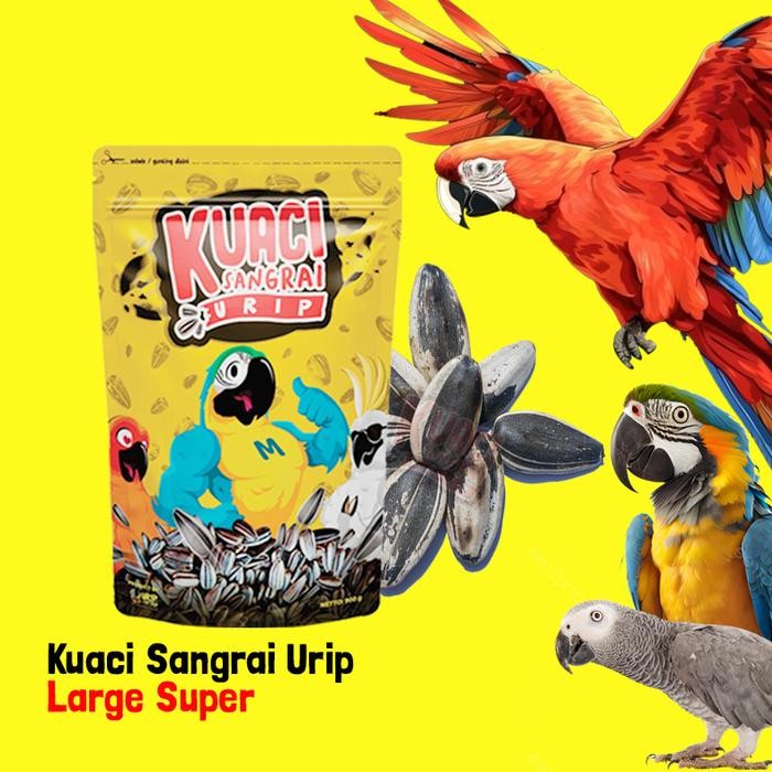 Pilihan- Kuaci Sangrai Super Jumbo Untuk Burung Kakatua Macaw Afgrey Amazon