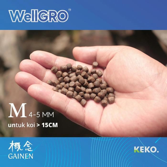 PAKAN KOI WELLGRO GROWTH FLOATING REPACK 1KG