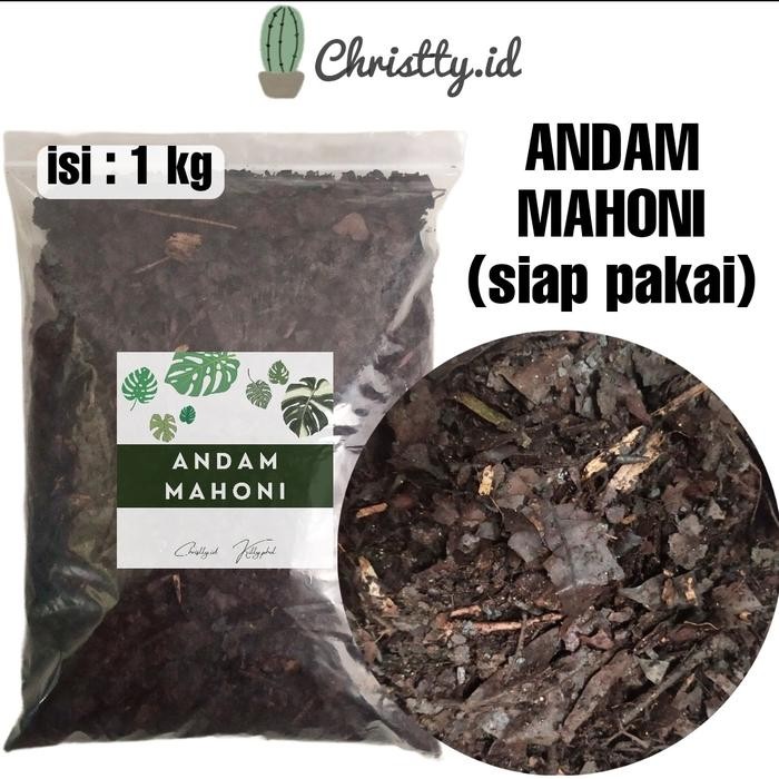 Stok Baru Media Tanam Andam Mahoni / Humus Daun / Humus Hutan / Media Tanam
